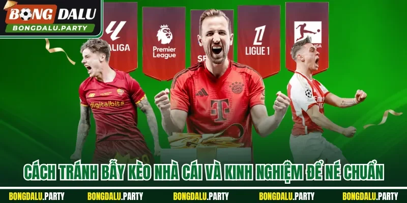 cách tránh bẫy kèo nhà cái