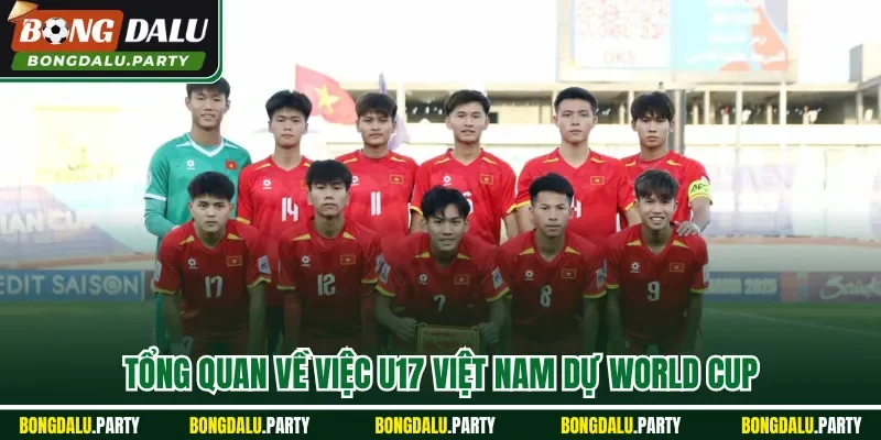 Tổng quan về việc U17 Việt Nam dự World Cup